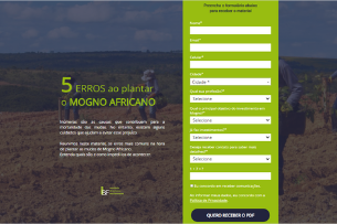 Erros ao plantar mogno africano